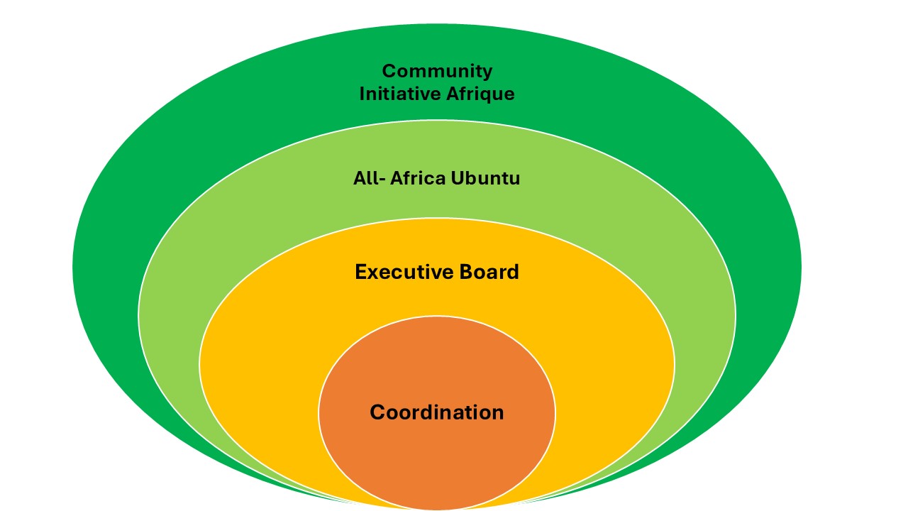 Graphich showing the structure of Initiative Afrique